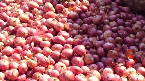 Nashik Onion News : अफगाणिस्तानचा कांदा अमृतसरमध्ये; रस्त्याने 20 रुपये किलो पोच भावाने उपलब्ध