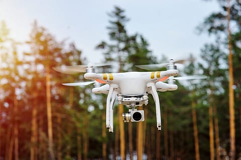 forest watch drone
