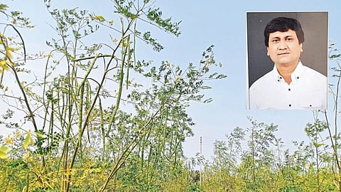 Income of five lakhs per annum from two and a half acres Nagpur Farmer news