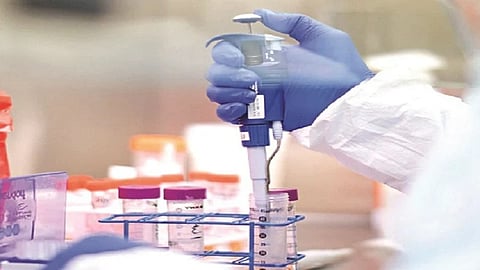 मोठी बातमी: कोरोना चाचणी आणखी स्वस्त; नवे दर पत्रक जाहीर