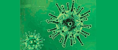 Coronavirus News Latur