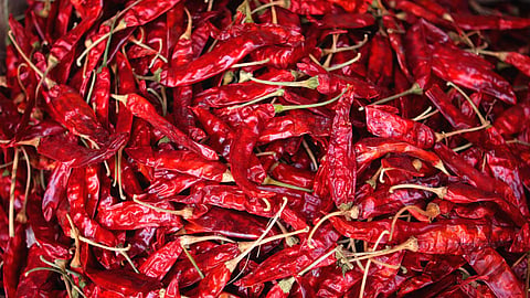 लाॅकडाऊनमध्ये मिरची झाली तिखट; खिशाला फोडणी