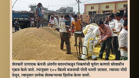 शेतकरी कंपन्यांनी राबवला थेट विक्रीचा पर्याय