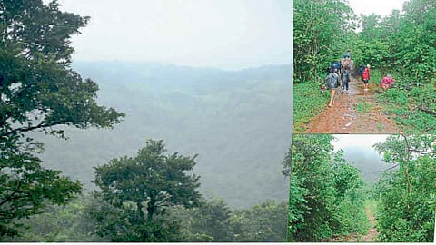 फुकेरीतील तरुणाईने ठरविले; अन् पर्यटन बहरले