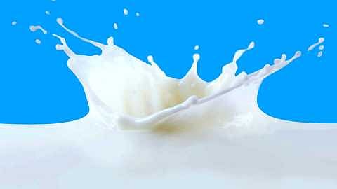 milk
