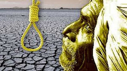 suicide