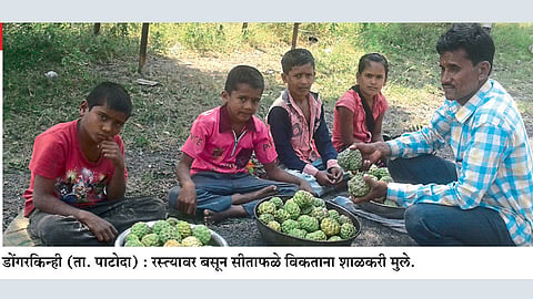 रानमेवा विकून मुलांनी उचलला शिक्षणाचा भार