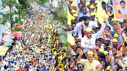 Vidhan Sabha 2019 : समरजितसिंह घाटगेंच्या डिपॉझीटसाठी वृद्धेने विकल्या शेळ्या