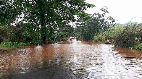 कोल्हापूर - गगनबावडा मार्गावर पुराचे पाणी; वाहतूक बंद