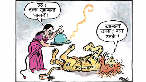 Budget 2019