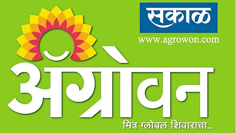 शुभेच्छांच्या वर्षावात ॲग्रोवनचा वर्धापन दिन