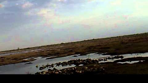 anajani river