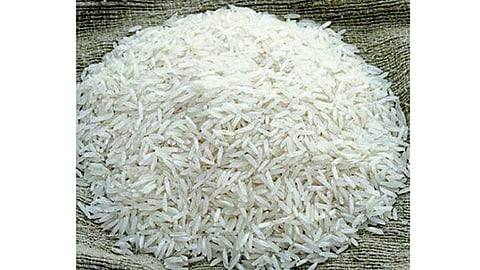 Basmati_Rice.jpg