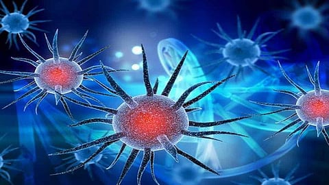 Coronavirus