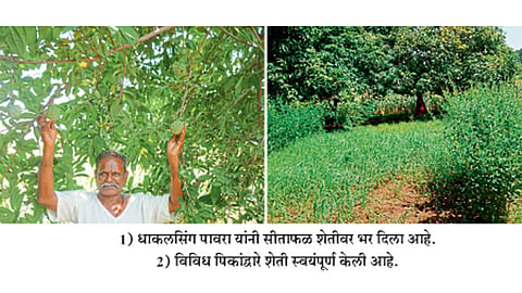 Dhakalsing-pavara