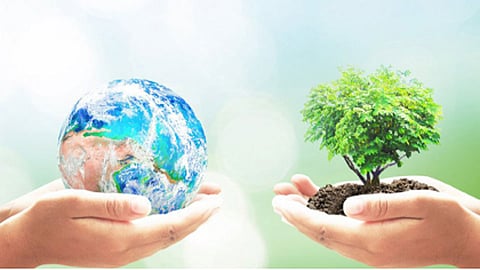 Environment