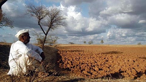 Landlord-Farmer