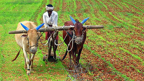 Farmer