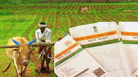 Akola Marathi News Aadhaar is not an update, but how to get debt relief, Aadhaar update of four thousand farmers left