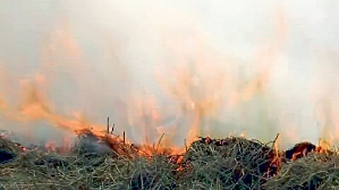 यंदाही दिल्लीवर प्रदूषणाचे सावट