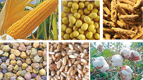 Grains