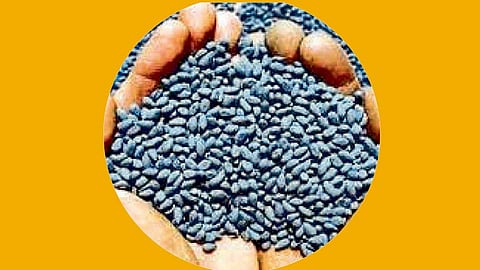 HT-Seed