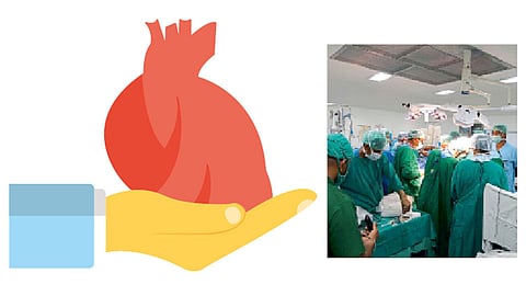 Heart-Transplantation