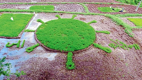 Satara