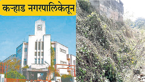 Satara Latest Marathi News Satara News