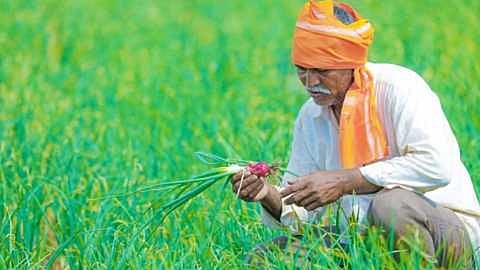 Kharif crop loan disbursement increased by Rs 331 crore this year