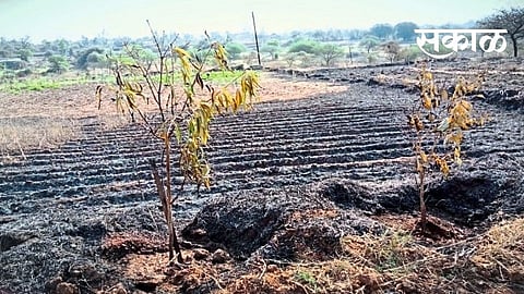 Loss of millions of rupees to farmers due to short circuit Nashik Marathi news