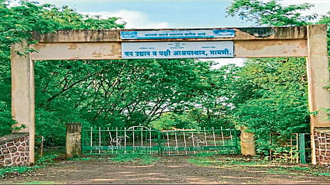 Satara