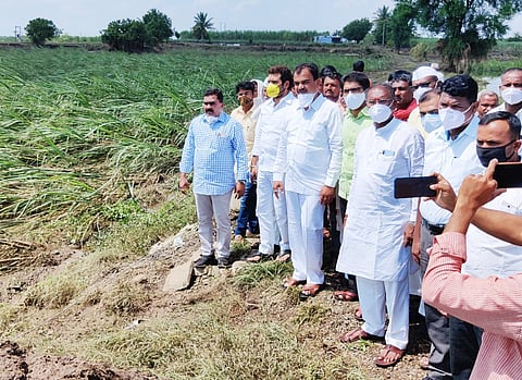 Mohol Survey