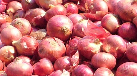 Onion Rate News