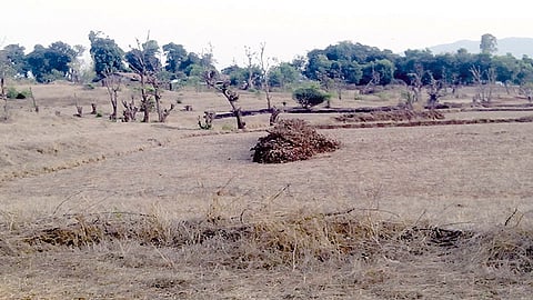 Satara