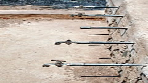 Pani