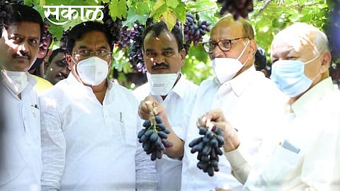 Pawar_Shinde.