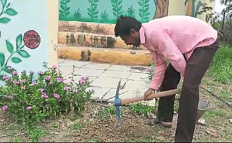 Planting