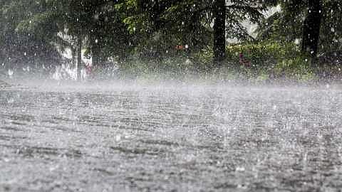 Rain