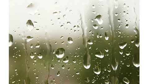 Rain