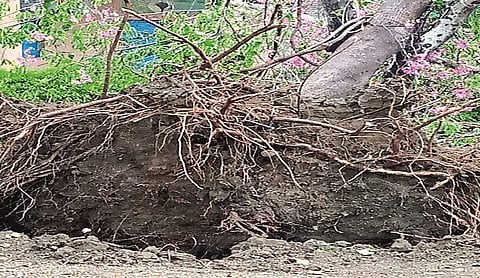 Rain In Latur District, Udgir, Jalkotn Chakur