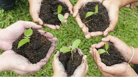 Collection and distribution of over 19 lakh seeds by Dolphins nature club; Appeal for state level seed collection competition