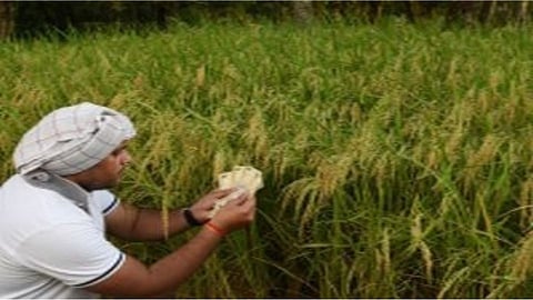 farmer loan