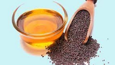 mustard benefits for skin tips food marathi news