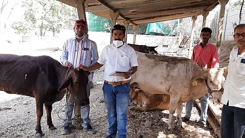 animals confiscated