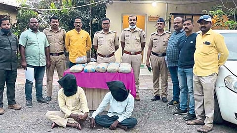 Two lakh cannabis seized in Miraj; Four arrested, including two women from Latur, Parbhani