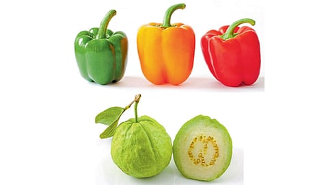 Shimla-Chili-and-guava