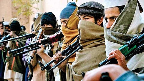 Terrorist