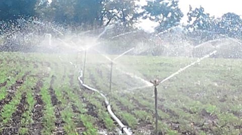 Irrigation for farming