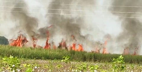 25 lakh loss due to burning of 45 acres of sugarcane in Ganeshwadi in Nevasa taluka